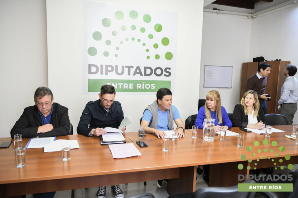 Analizan proyecto de ley que declara a Rosario del Tala Capital Provincial del Minibásquet. También una iniciativa para regular la instalación y funcionamiento de gimnasios y natatorios en Entre Ríos.