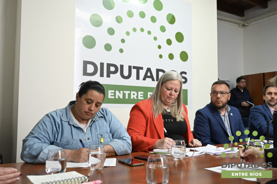 Se avanza en un protocolo contra la Violencia Laboral y de Género en la Cámara de Diputados