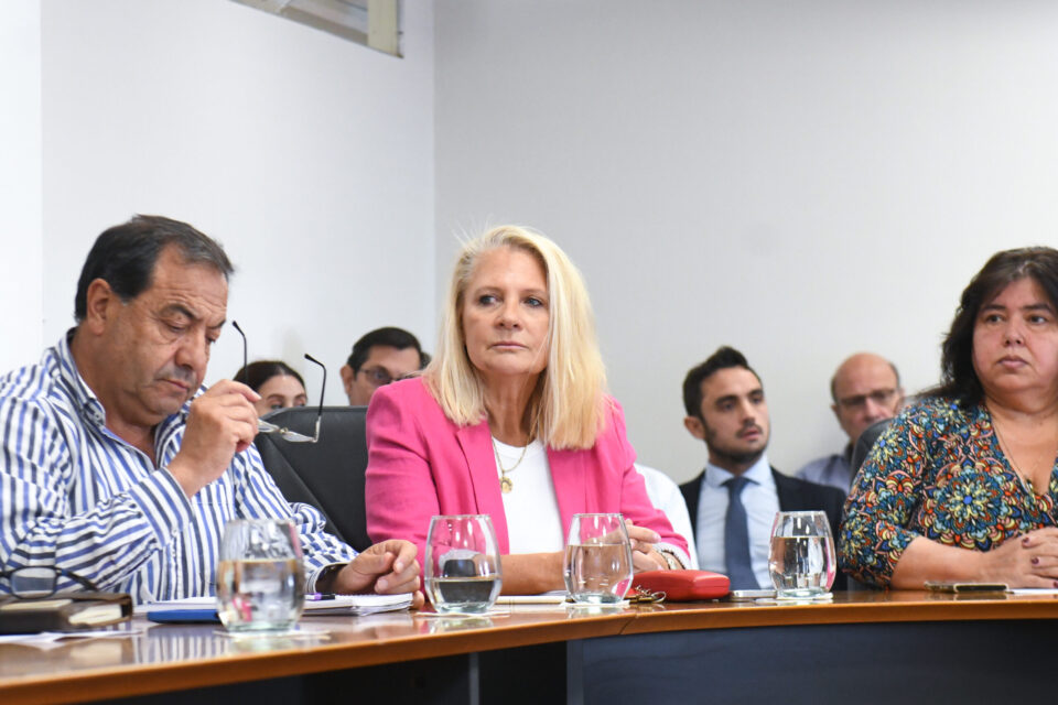 Juicio por jurados: senadores recibieron aportes al proyecto de reforma