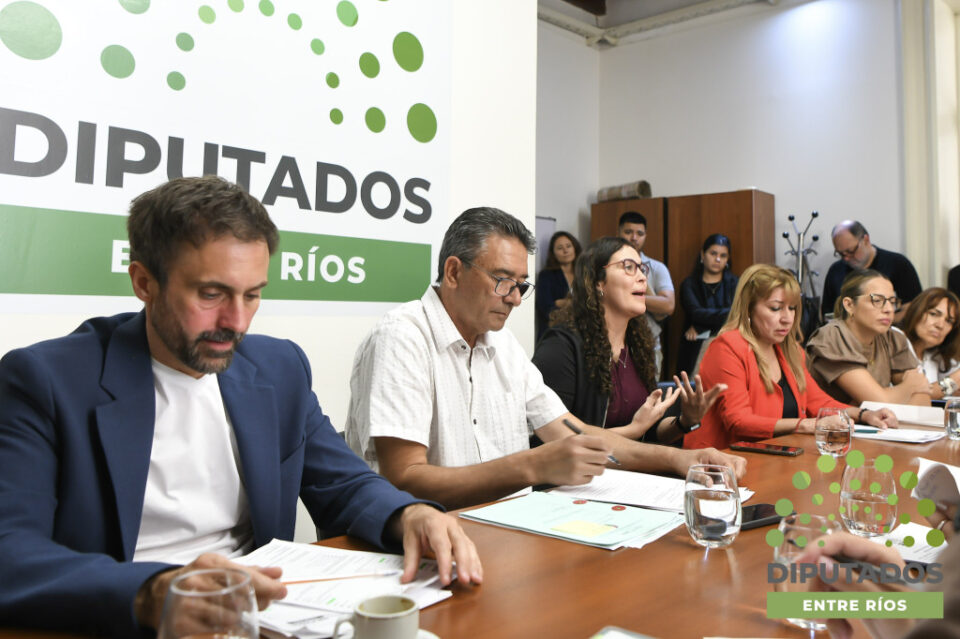 Diputados debatieron sobre educación financiera y adhesión a la Ley Nicolás