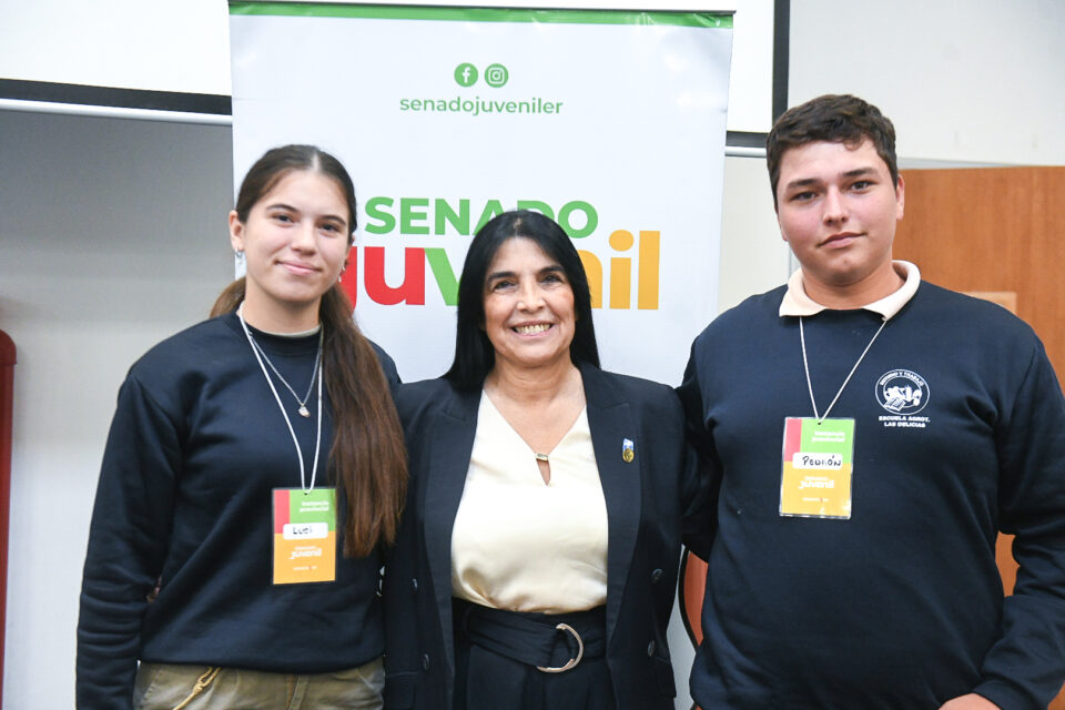 Comenzó la Instancia Provincial del Senado Juvenil